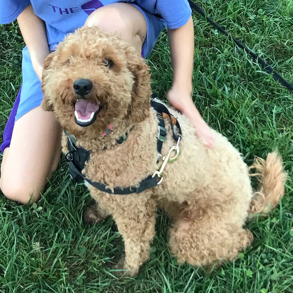 Meet your Posher, Kim